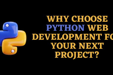 Why choose Python Web Development for your Next Project?