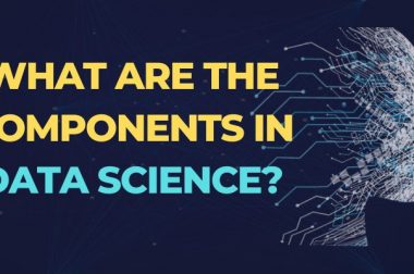What Are The Components Of Data Science?