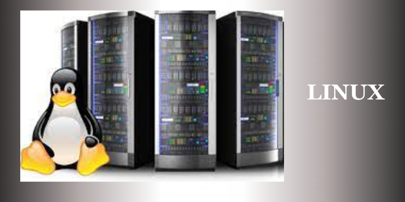 Linux Hosting