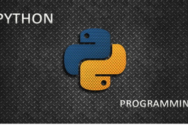 What is the Future of the Python Programming Language?