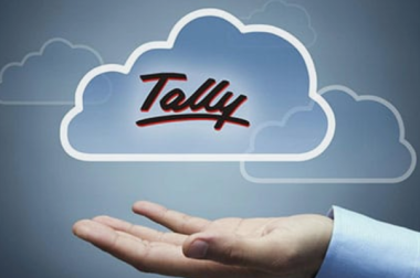 What are the Essential Steps for Beginners to Master Tally?